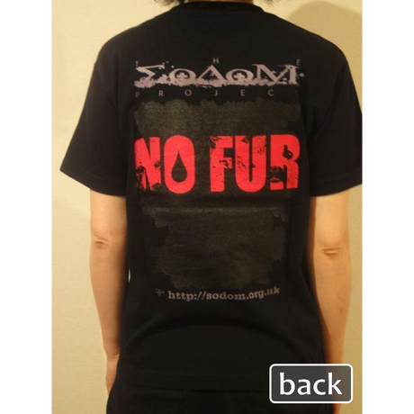 538b18ee3e7a4adf17001454