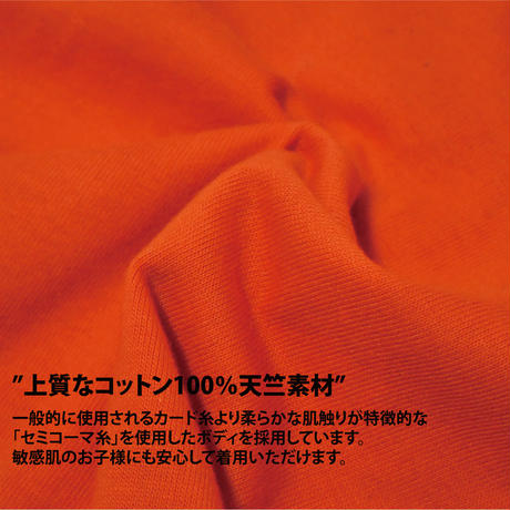 5b87c0465496ff3b8e000804
