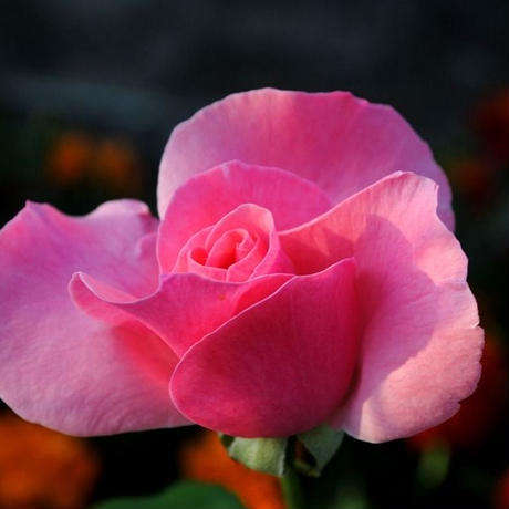 5897d0269821cc768301478f