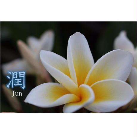 5897d17541f8e851c801245e