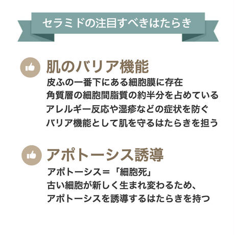 5a38bddc92d75f6992000e3c