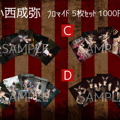 5bf3a3a93b63655b27000553