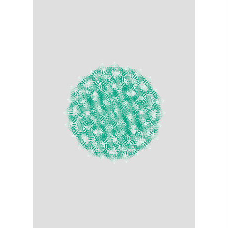 54c8a4d03bcba97c8a002802