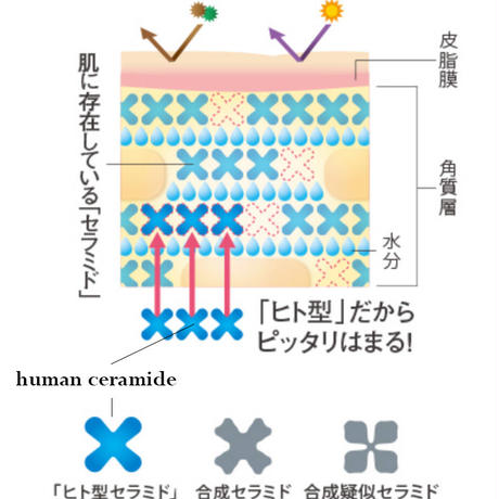 5a3dc3aef22a5b261a0011f4