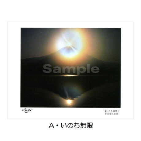 5536057f3cd482f8b9000bf4