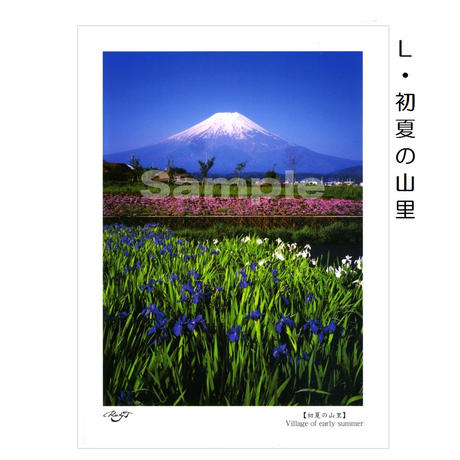 5536066d3cd4826e83000ce9