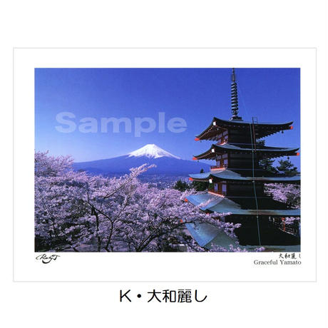 5536066d3cd4826e83000ce9