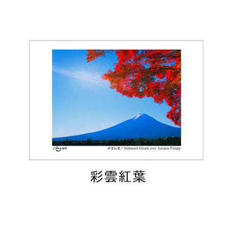 58bf7d7d02ac6445ff0008ef