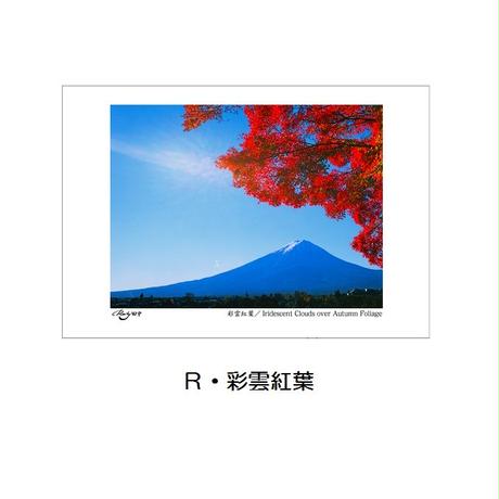 56172a312b3492774c0036d0