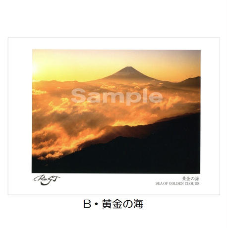 5536057f3cd482f8b9000bf4