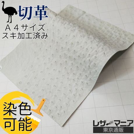 染色できる Stores
