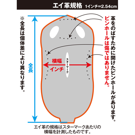 5f803344d24eee36d9fcd41e