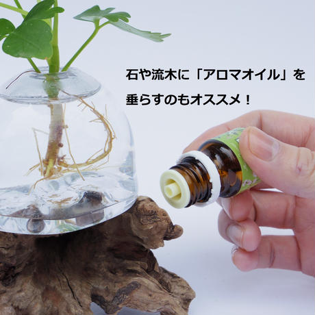 5a8847ae428f2d27a70066b2