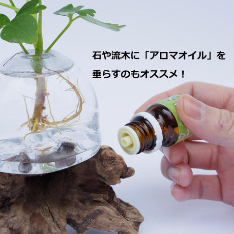 598ef75ded05e653ea01c22f