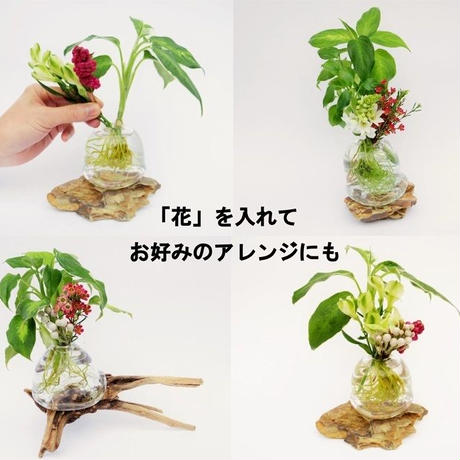 5b797ca75496ff7a6100030a