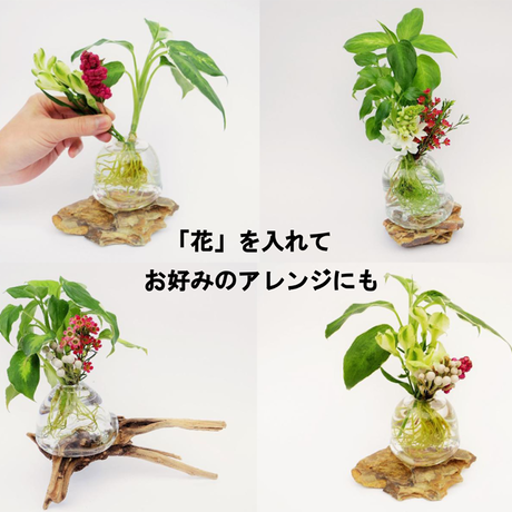 598ef6a4428f2d436a01a7ed
