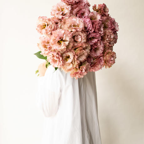 トルコキキョウ Stores