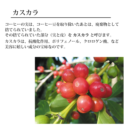 5ef581deb5a4254f582c83a4