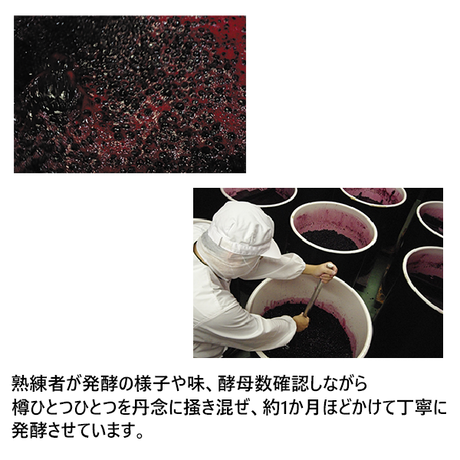 5e16e47c6c7d6315229fb582