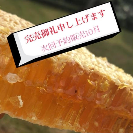 5c9f09e9d18c93157a0265c6