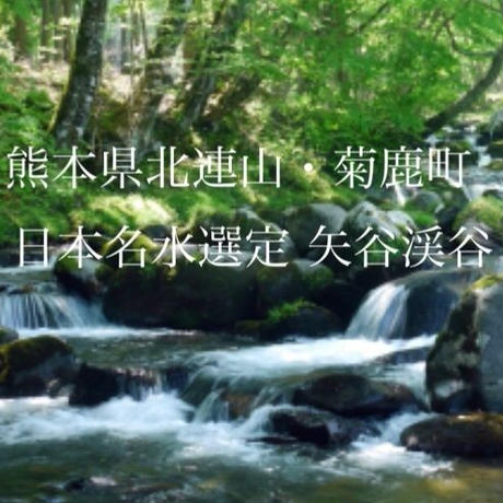 5c80bd6c2ef8281cc7b37162
