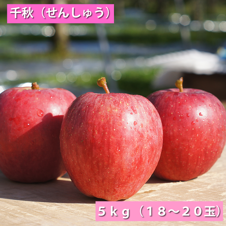 5420360d86b18848370004d3