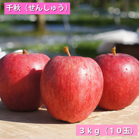 542035cd86b18848370004c7