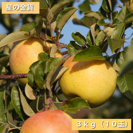54456f66ef337702dc000e9b
