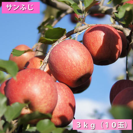 5449131b552f2fe598000b79