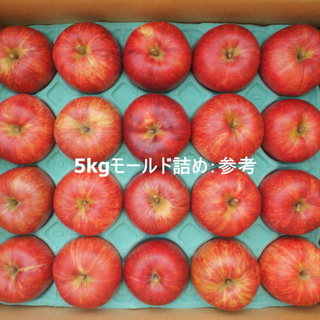 541753832b3492437f0045ed