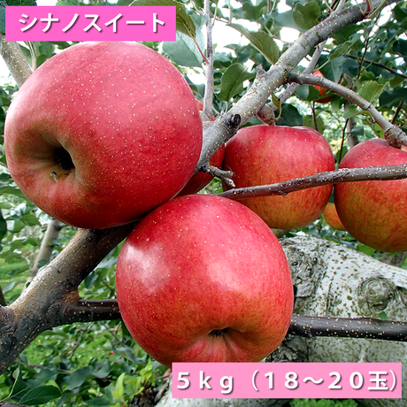 5428786a2b349206c900038b