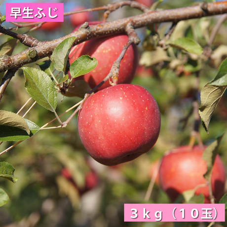 5419f2152b3492e10a000355
