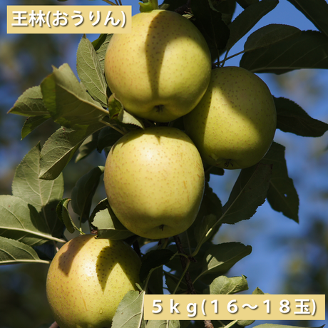 545154242b3492b9c1000273