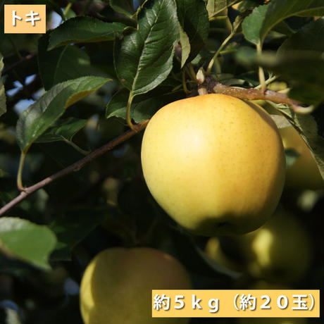 57e1a0e700d331509e0049d2