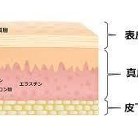 5dbd4950220e755b333849bd