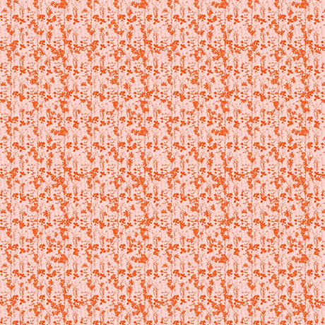 5899472600d3313503000952