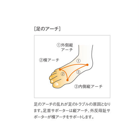 5ec78acf34ef012b55c5ee13