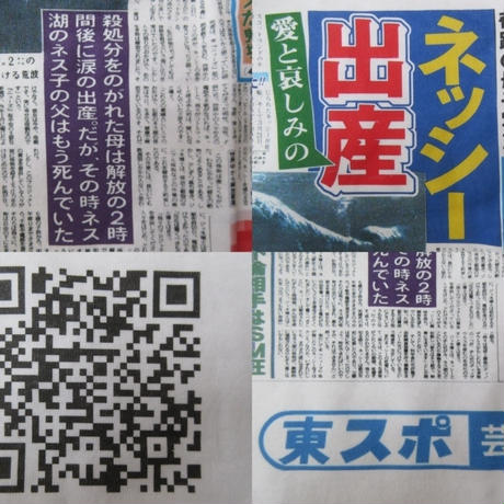 5b2b1ad3e8db4146ea000242