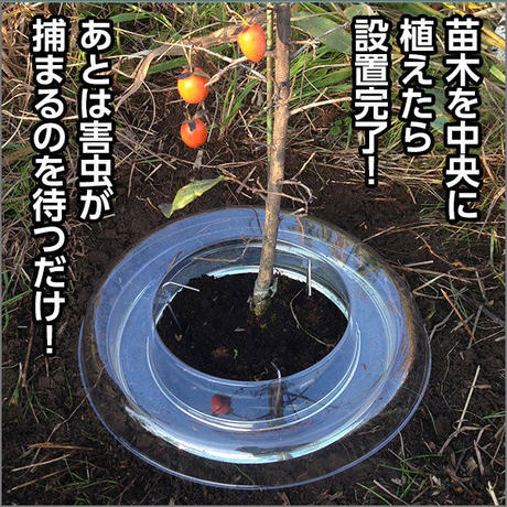 597447f5c8f22c6ba4000616