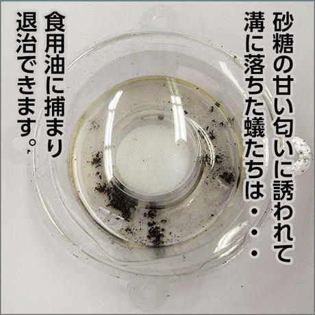 596cd531428f2d303a0187cc