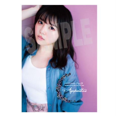 5e8182d59df16320a3404d52