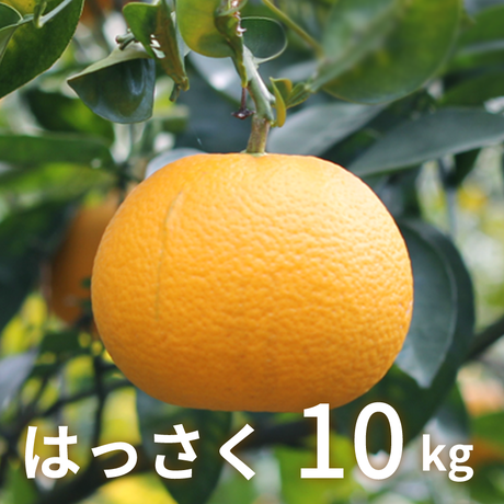 5a83c3b13210d535ed000bf9