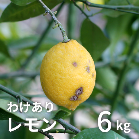 5a83c58c3210d5360d000cc4
