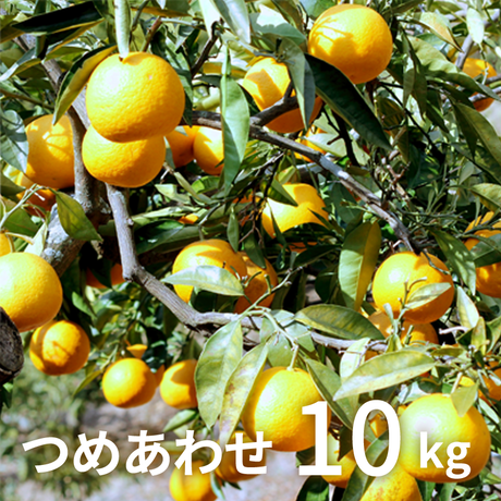 5a8422c6c8f22c20c2002aaa