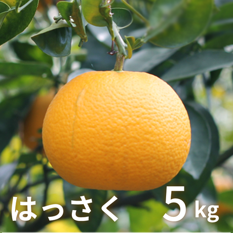 5a83c42d27d1cc04de000a13