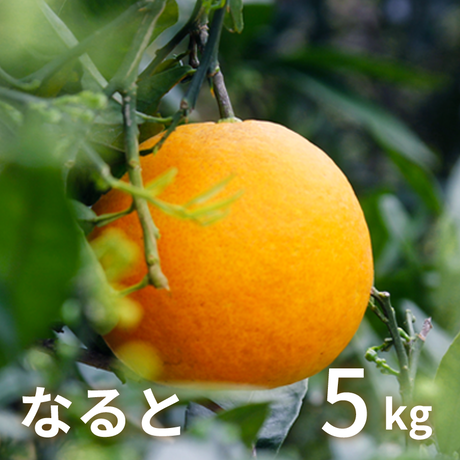 5a83c1d53210d535e3000946