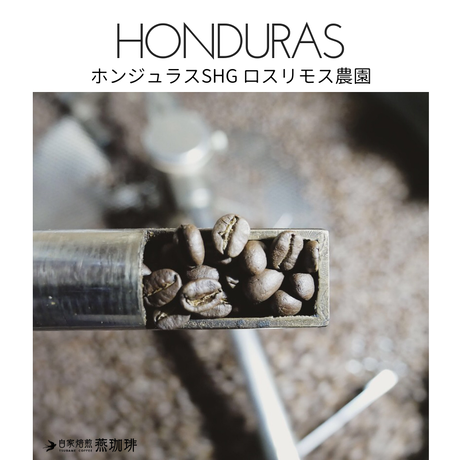 5b1a43da5496ff55e60008a3
