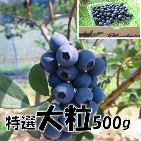 5ca93f42e11fdc58e9d78c7a