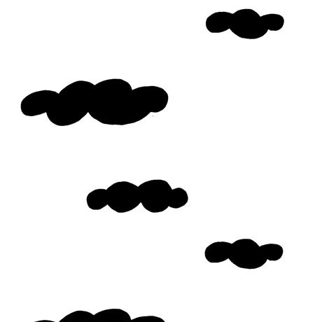 5b1000925496ff1119000c00
