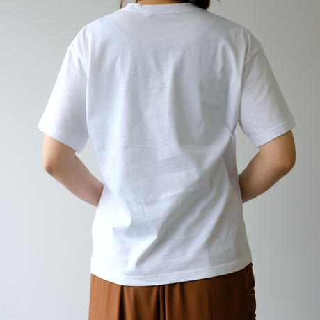 5ae155e0122a7d67160007e6